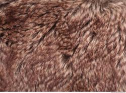 Photo Textures of Fur